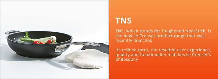 TNS Introduction