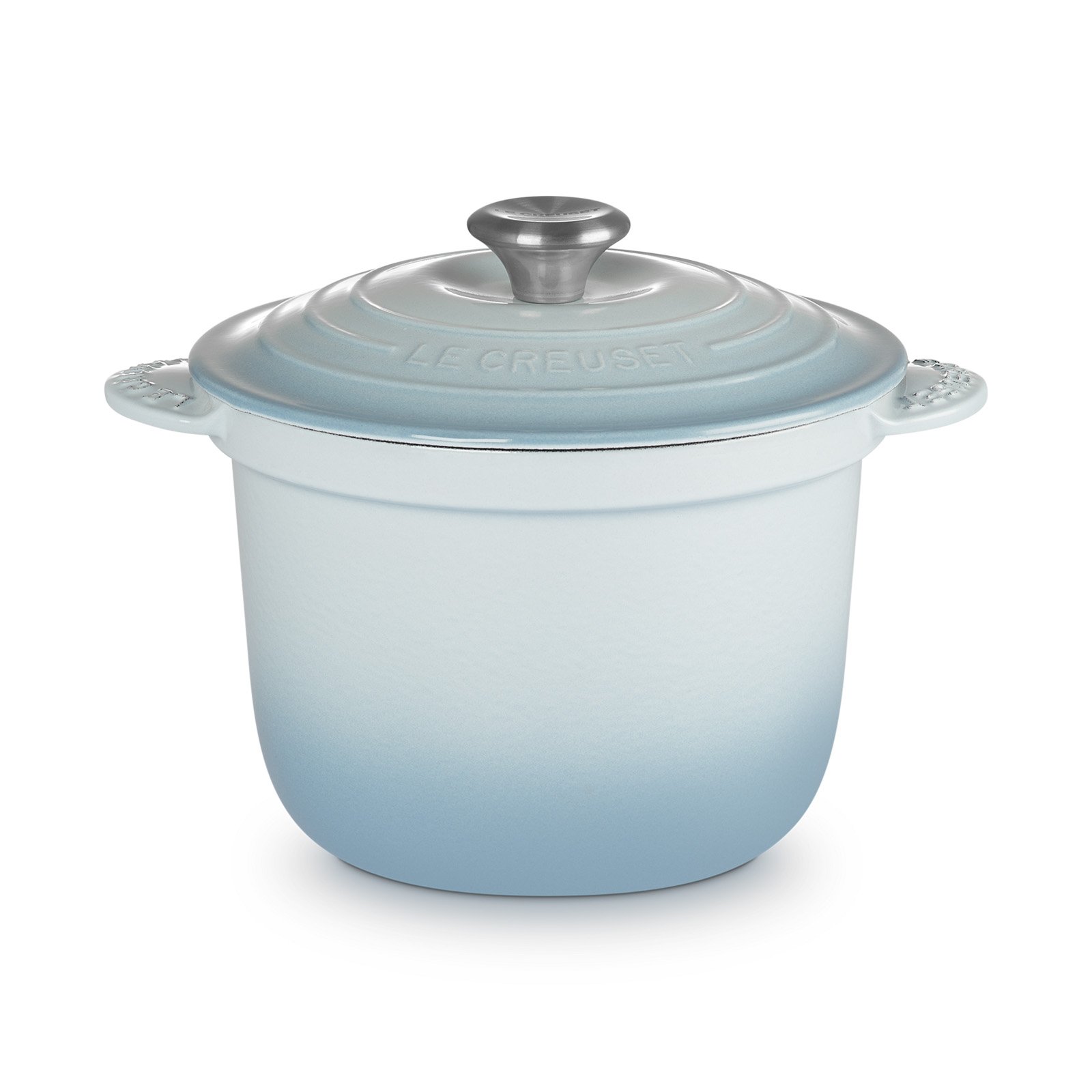Rice Pot 20cm Coastal Blue SS Knob