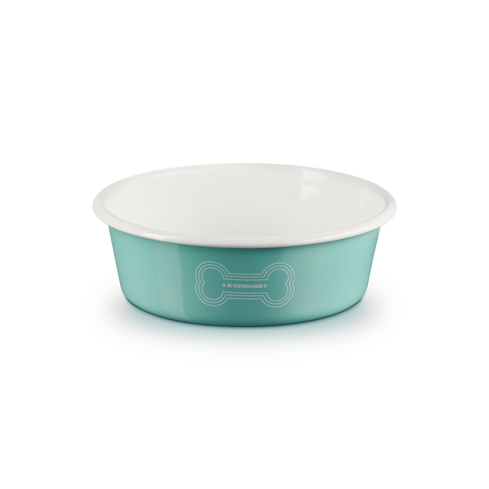 Enamel On Steel Pet Bowl with Bone Decal Light Green 18cm