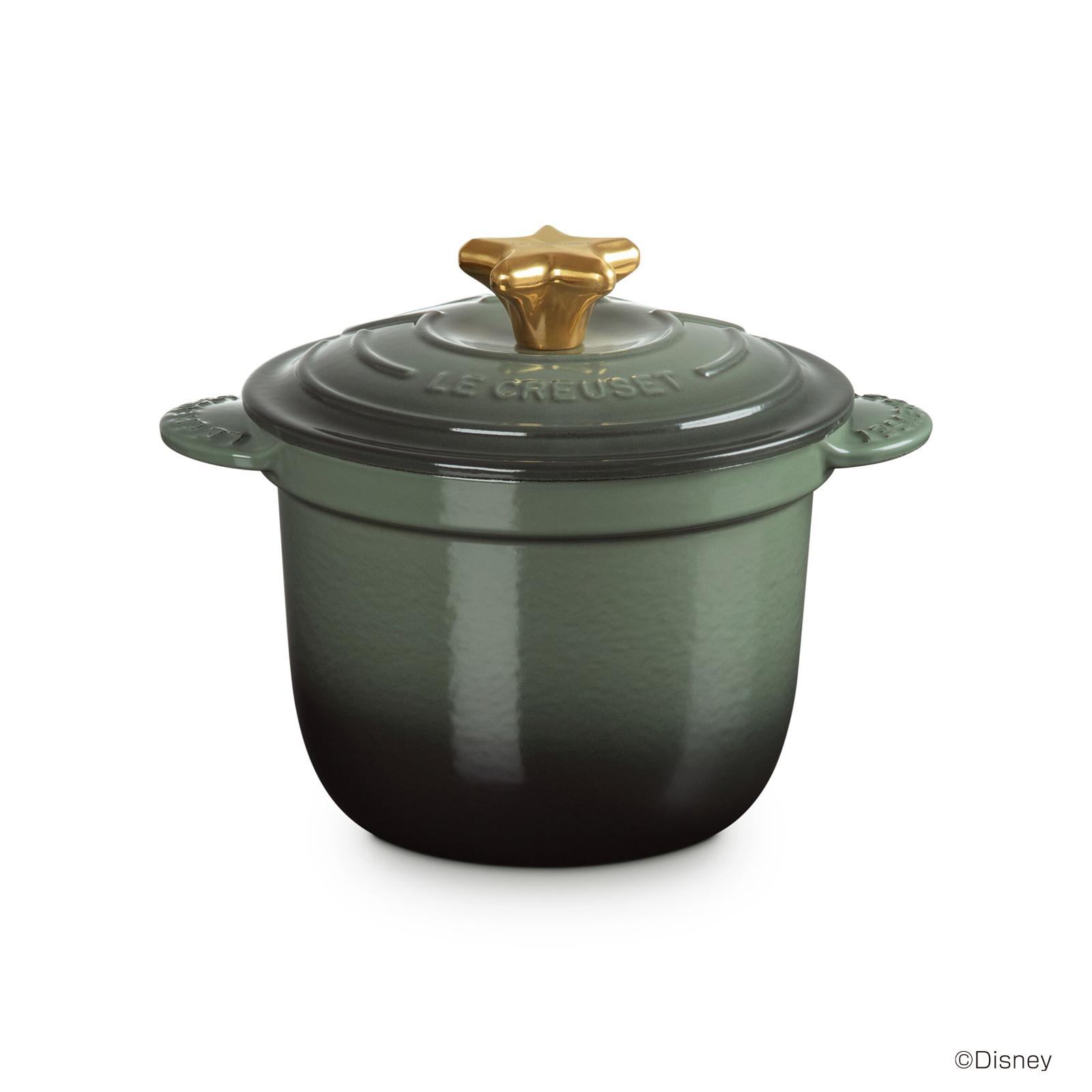 Disney Fantasia Cocotte Every Rice Pot 18cm Thyme Star Gold Knob