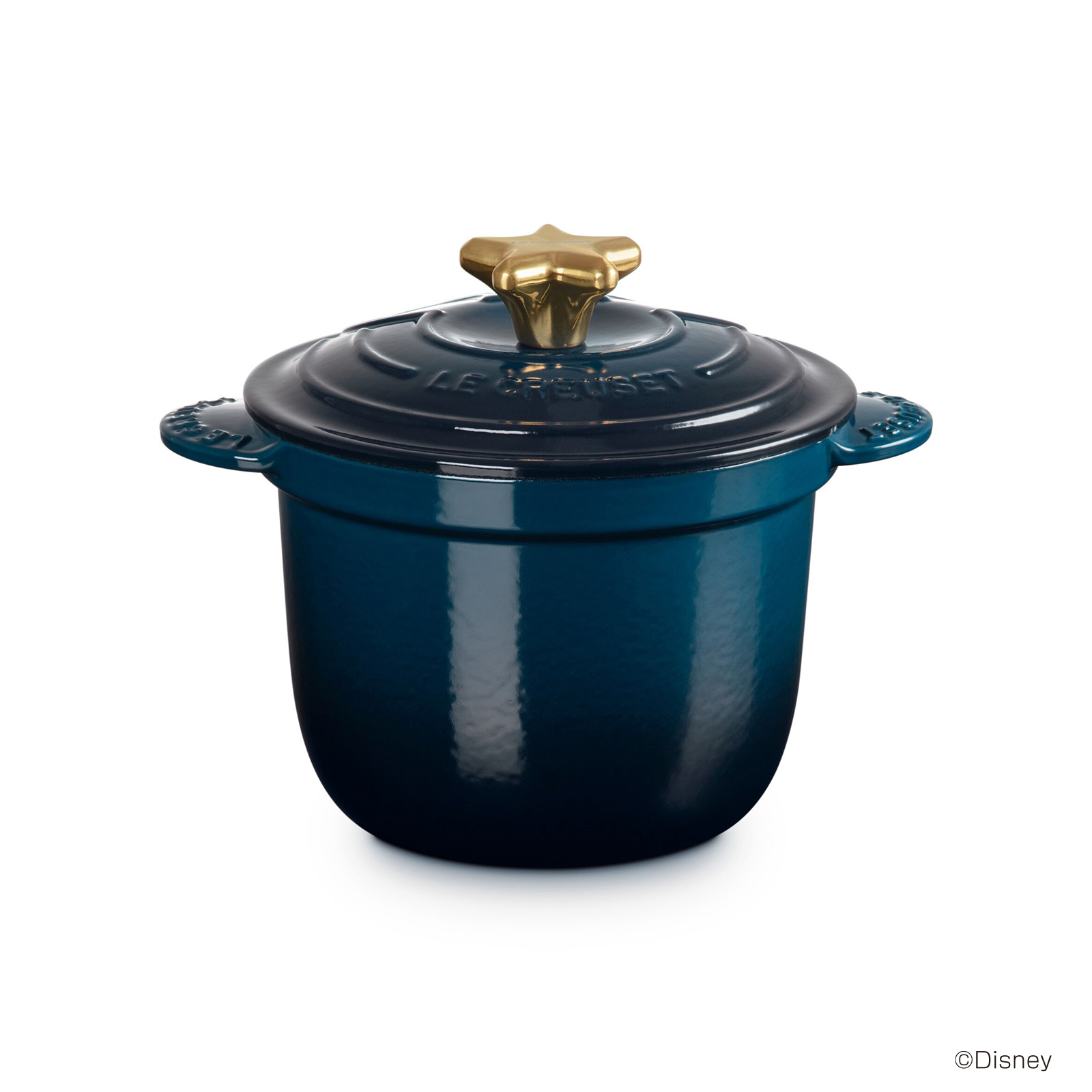 Disney Fantasia Cocotte Every Rice Pot 18cm Nuit Star Gold Knob
