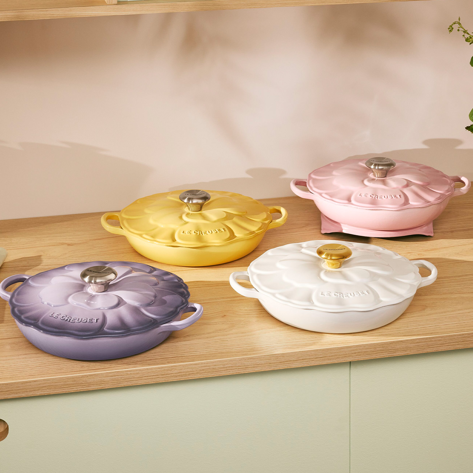 Signature Petal Braiser SS Knob image number 5