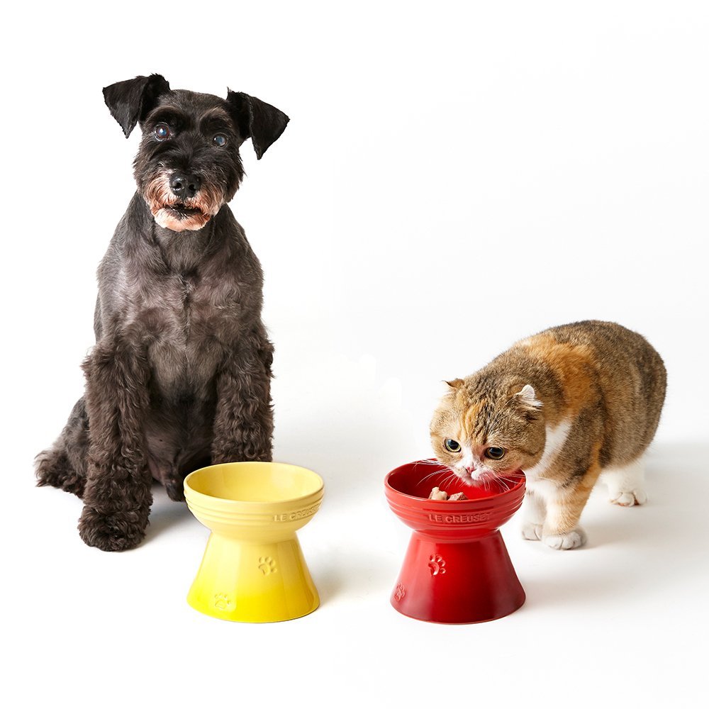 Stoneware Footed Pet Bowl image number 4